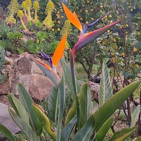 Villa Boheme Costa Brava Calonge  Buitenkant foto