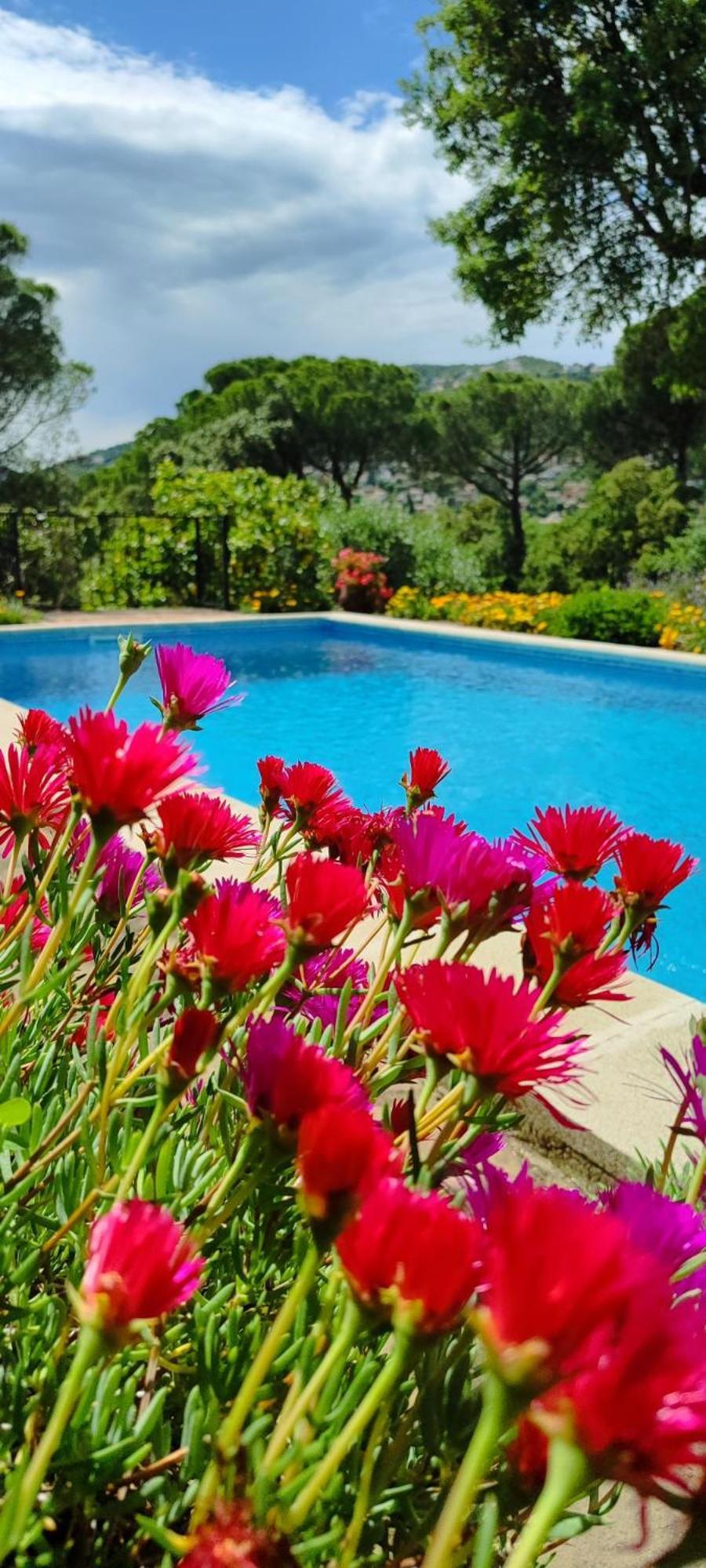 Villa Boheme Costa Brava Calonge  Buitenkant foto