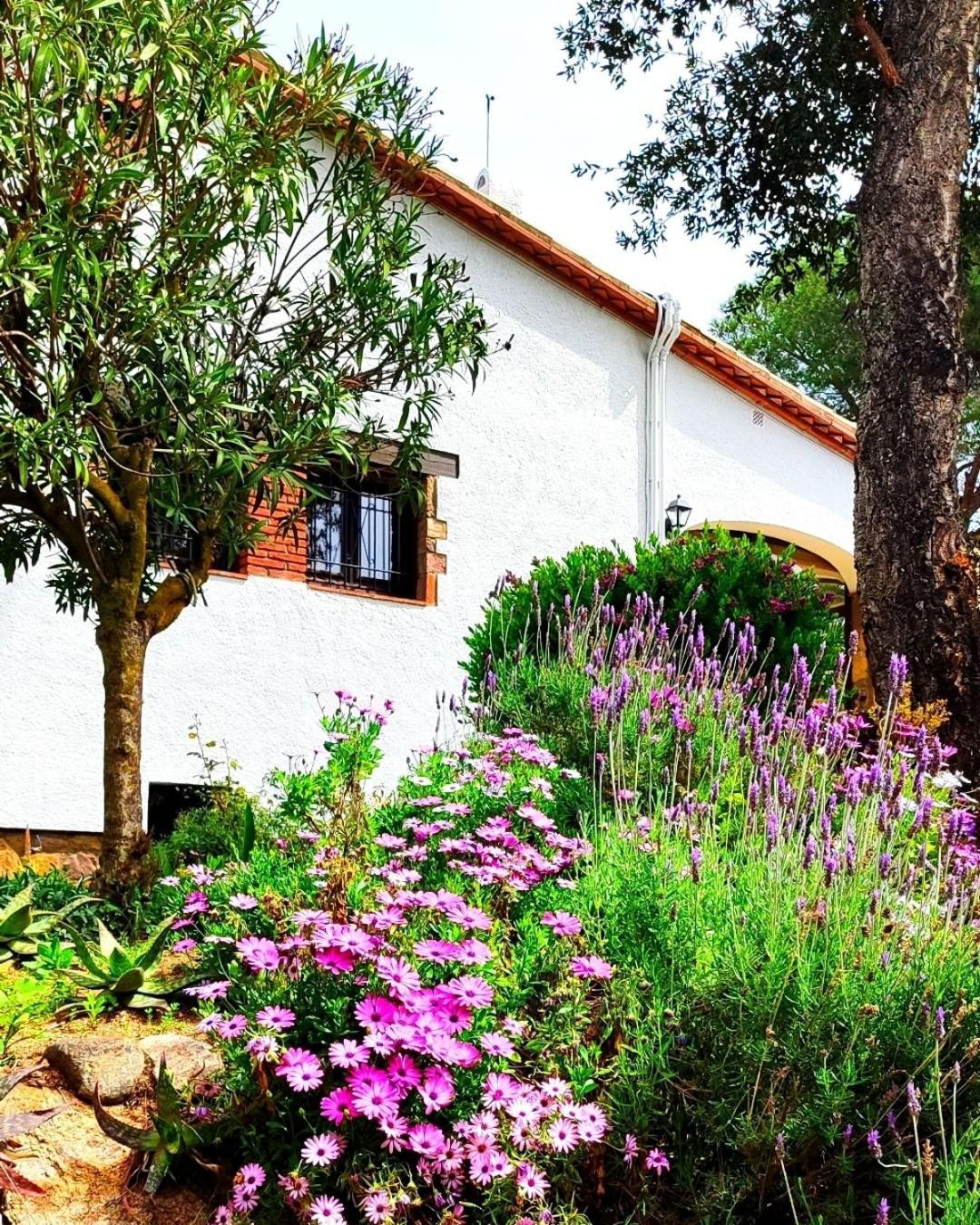 Villa Boheme Costa Brava Calonge  Buitenkant foto